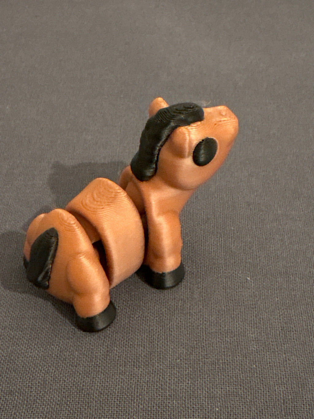 Flexi cavalo