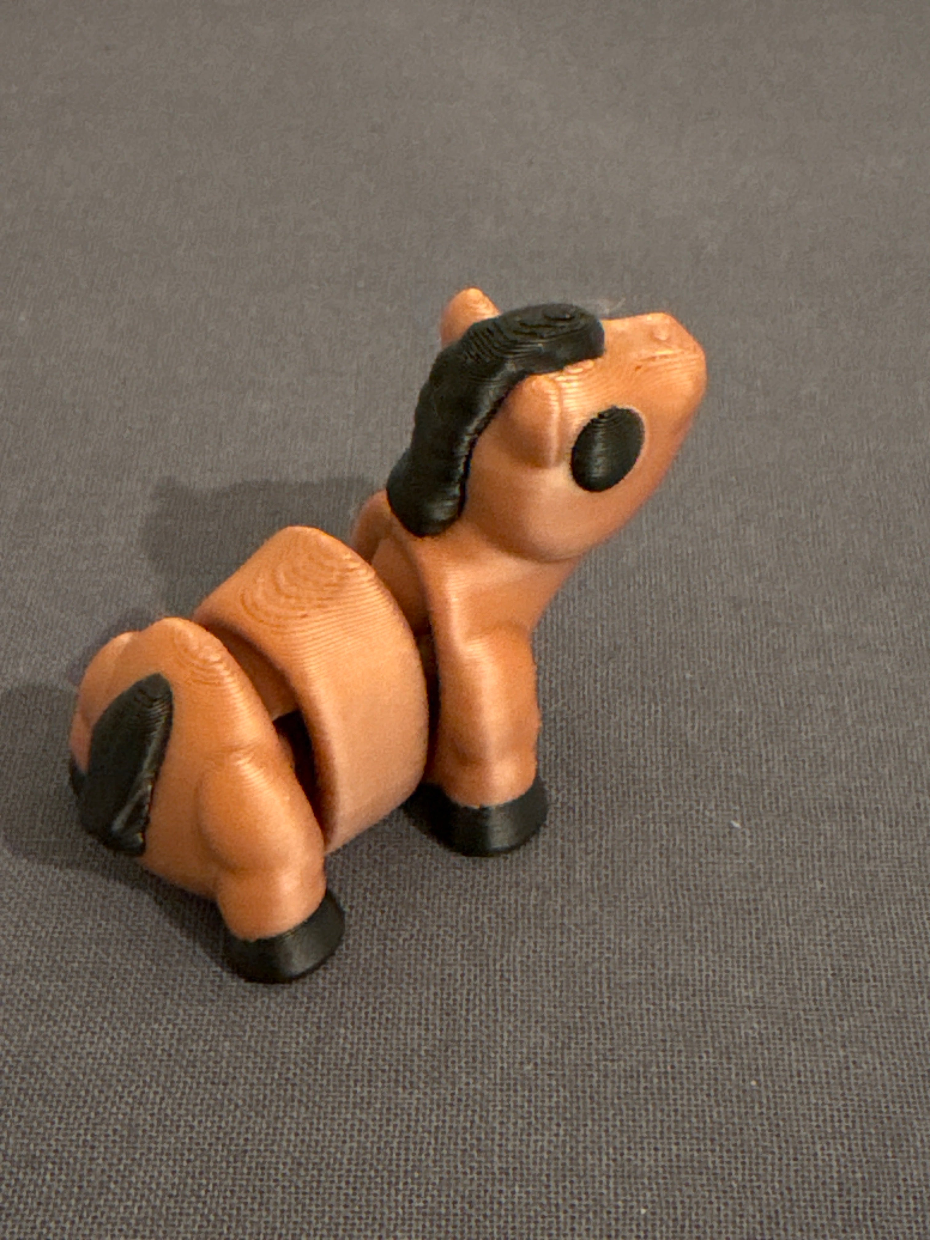 Flexi cavalo