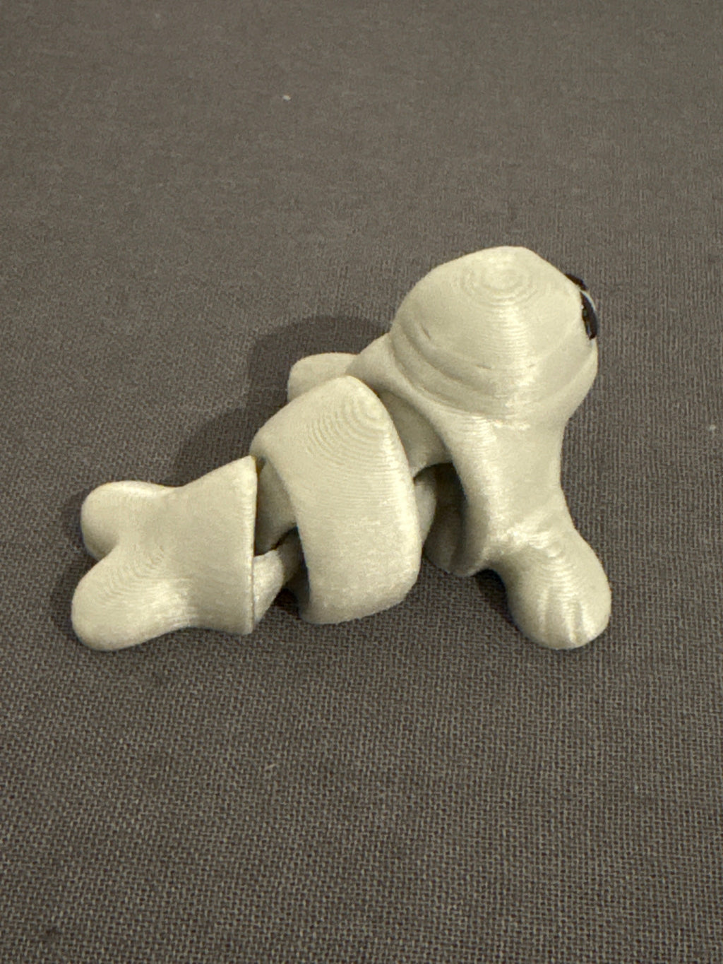 Flexi foca