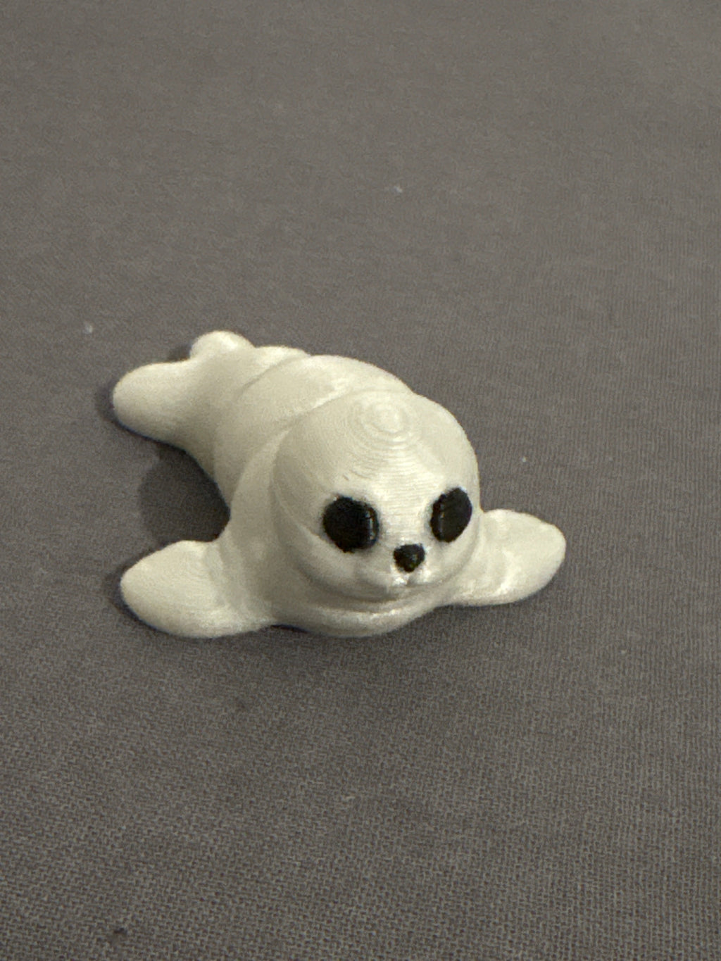 Flexi foca