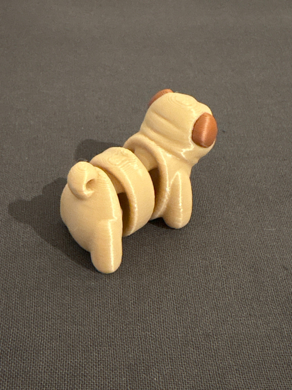 Flexi cão