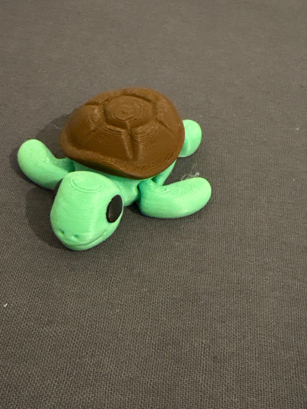 Flexi tartaruga