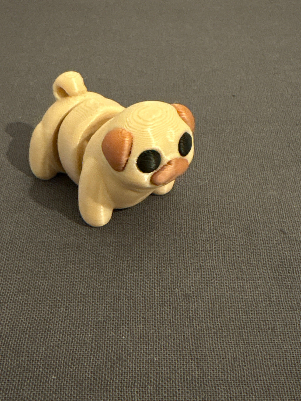 Flexi cão