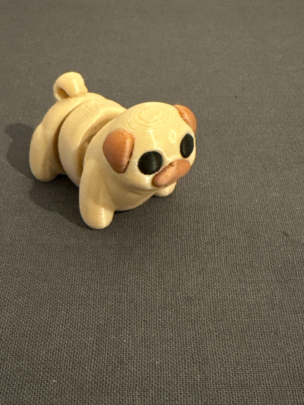 Flexi cão