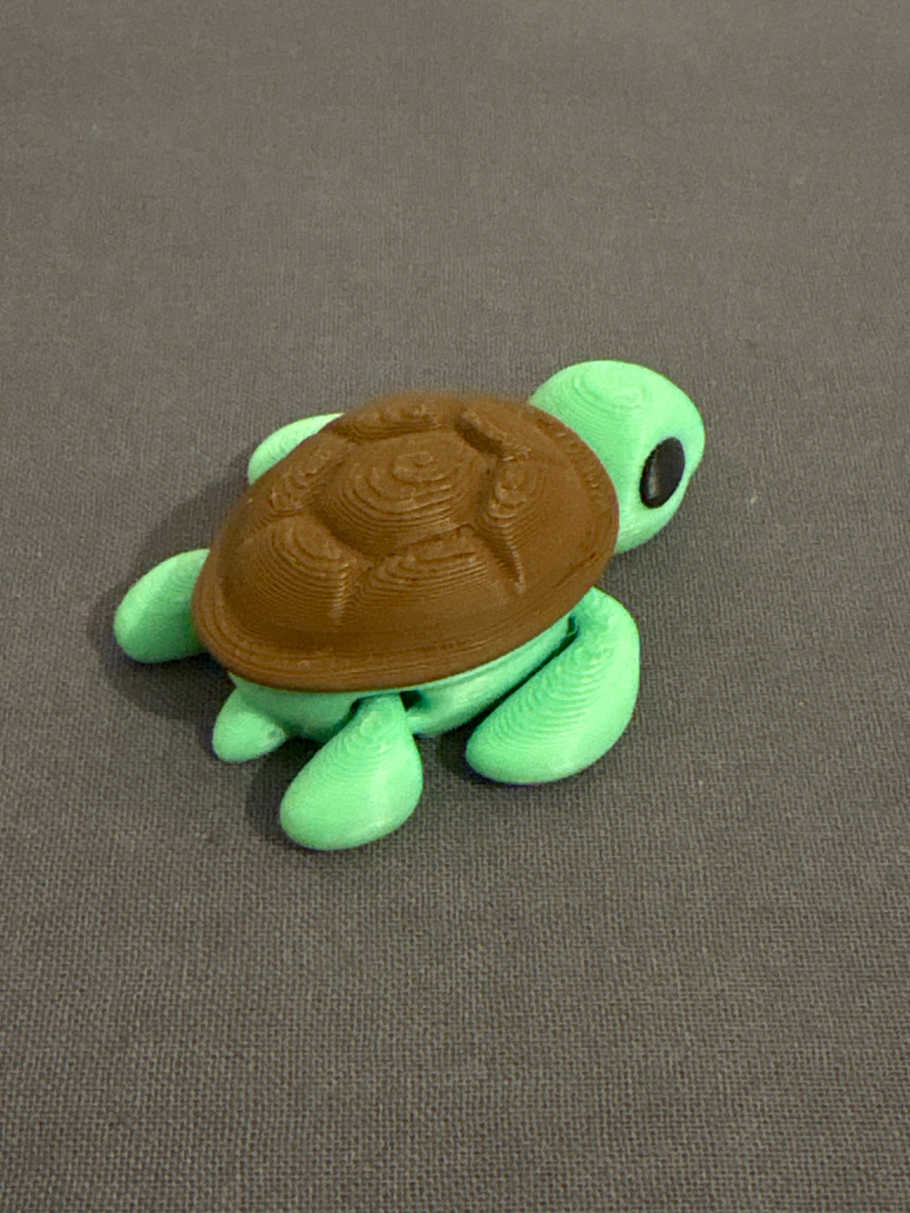 Flexi tartaruga