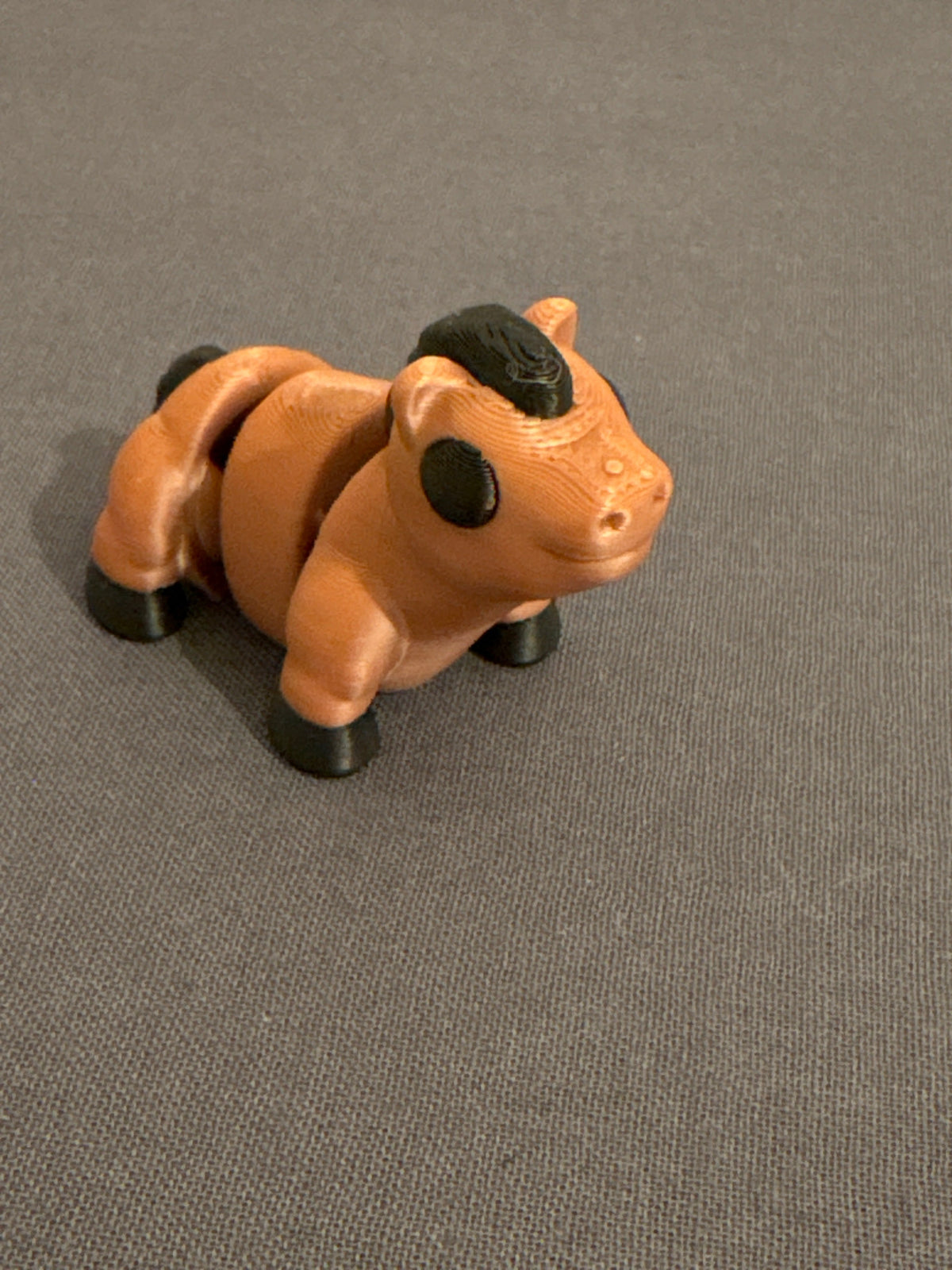 Flexi cavalo