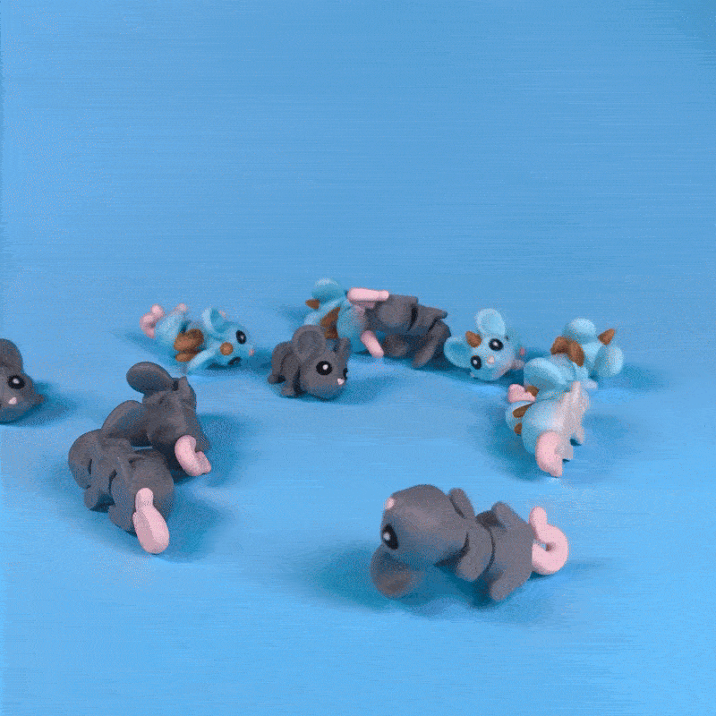 Flexi Ratinhos