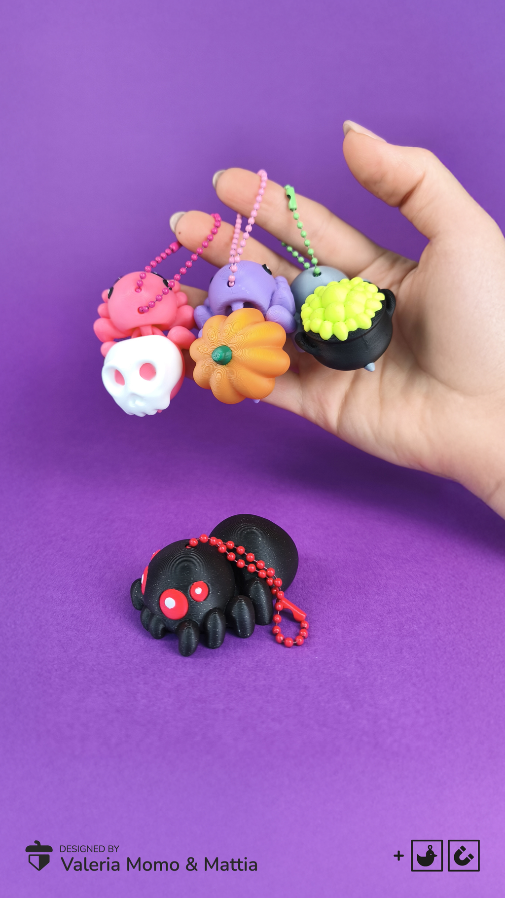 Flexi Aranhas
