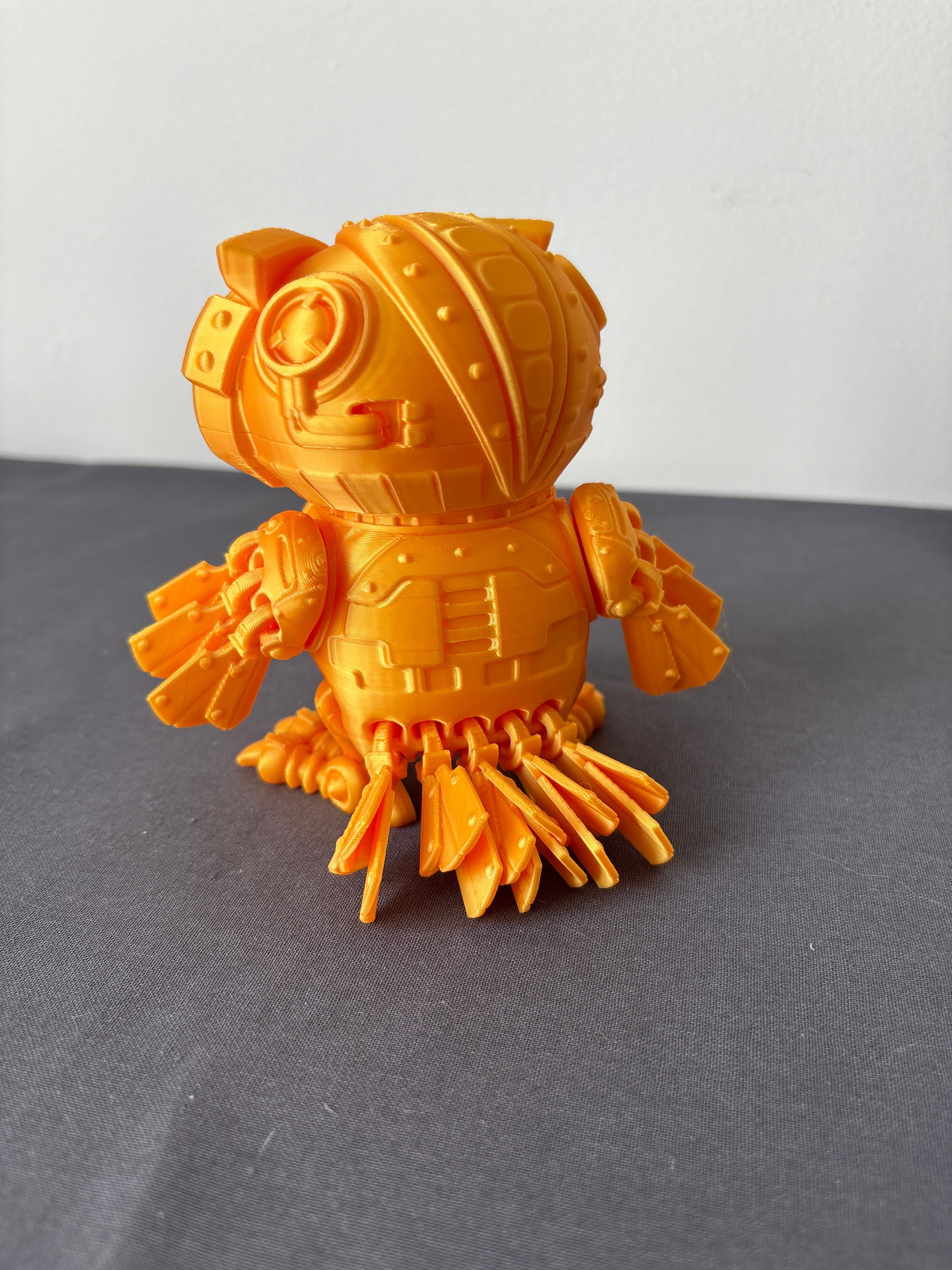 Flexi coruja