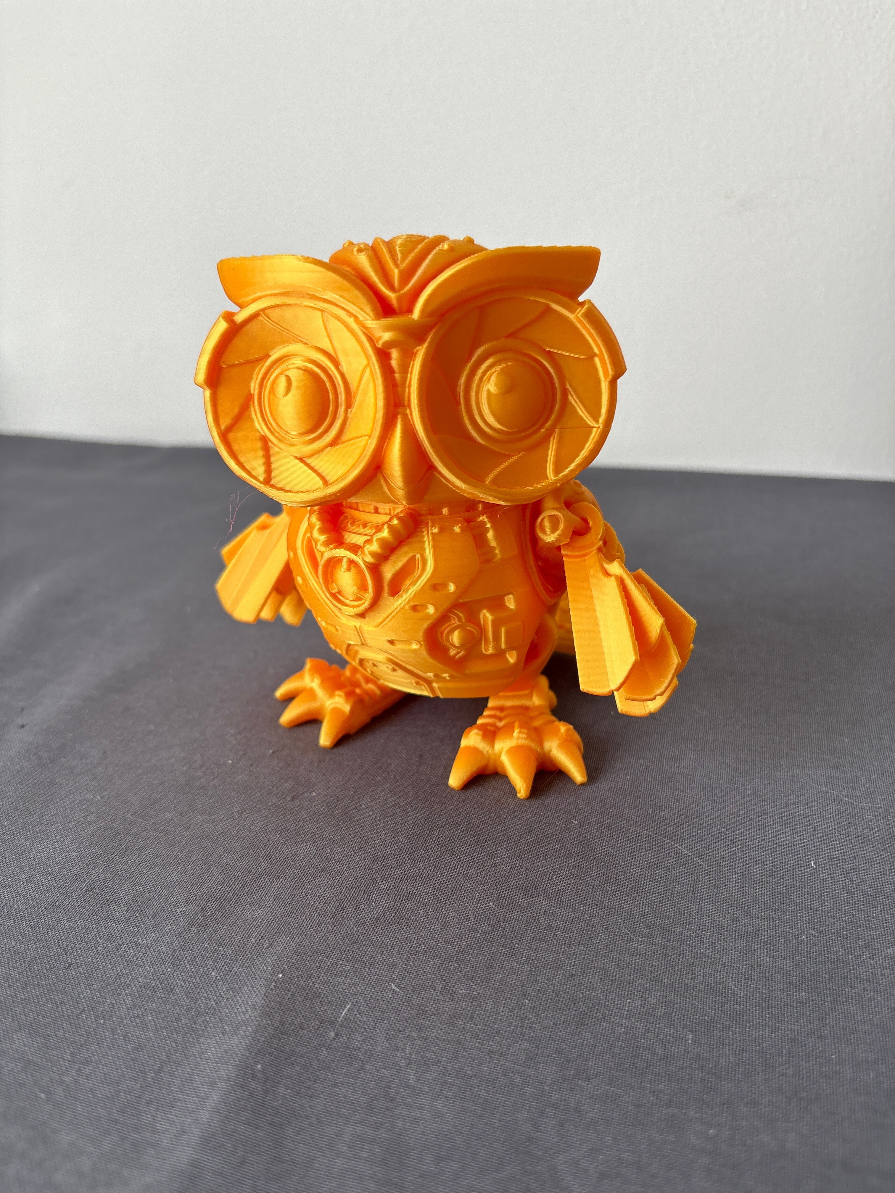 Flexi coruja