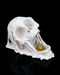 Doom Skull