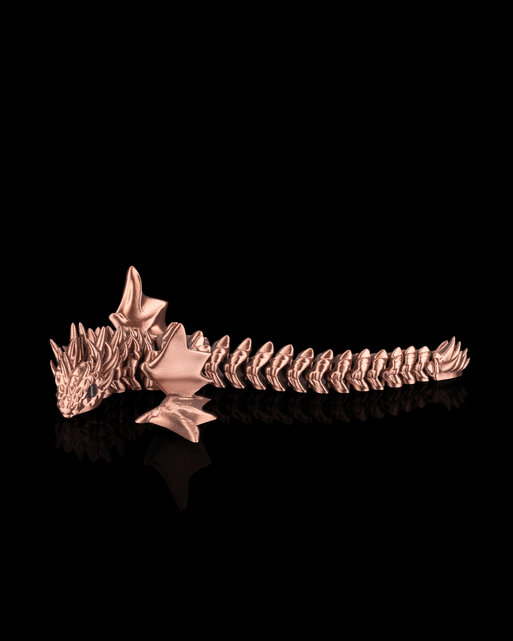 Flexi Amphiptere
