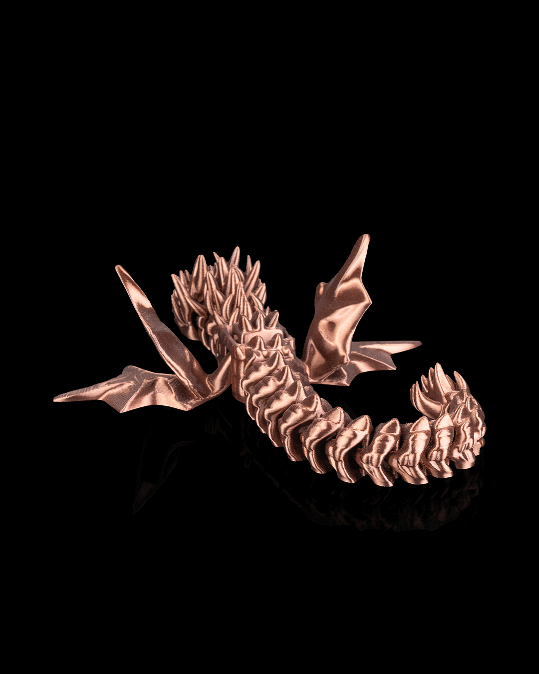 Flexi Amphiptere