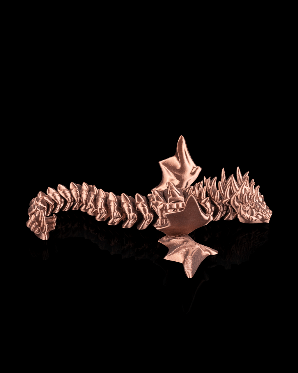 Flexi Amphiptere