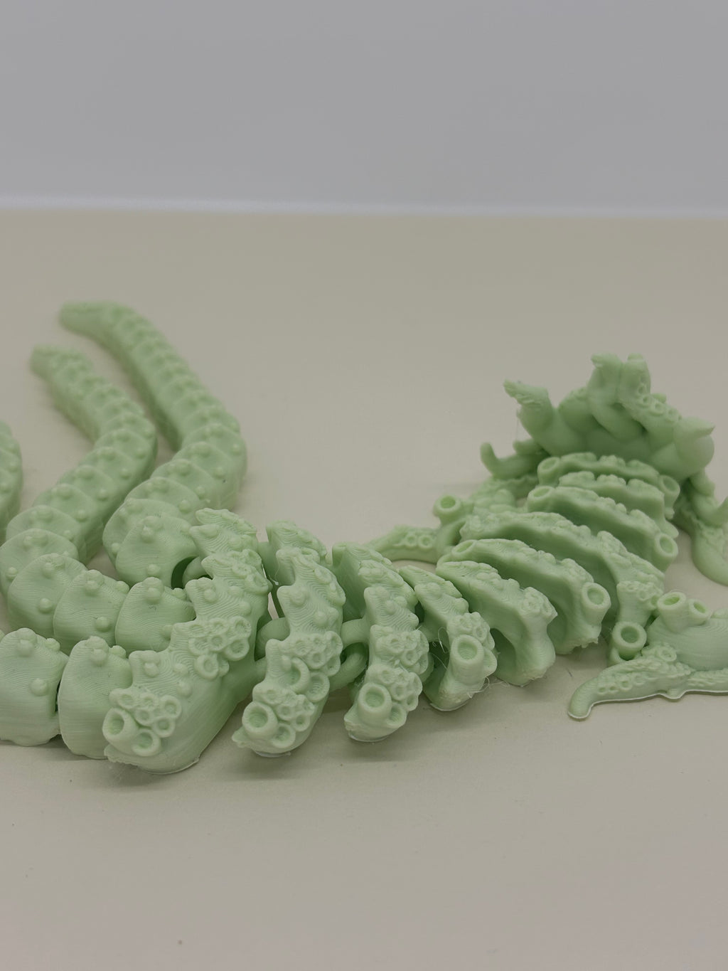 Flexi dragão