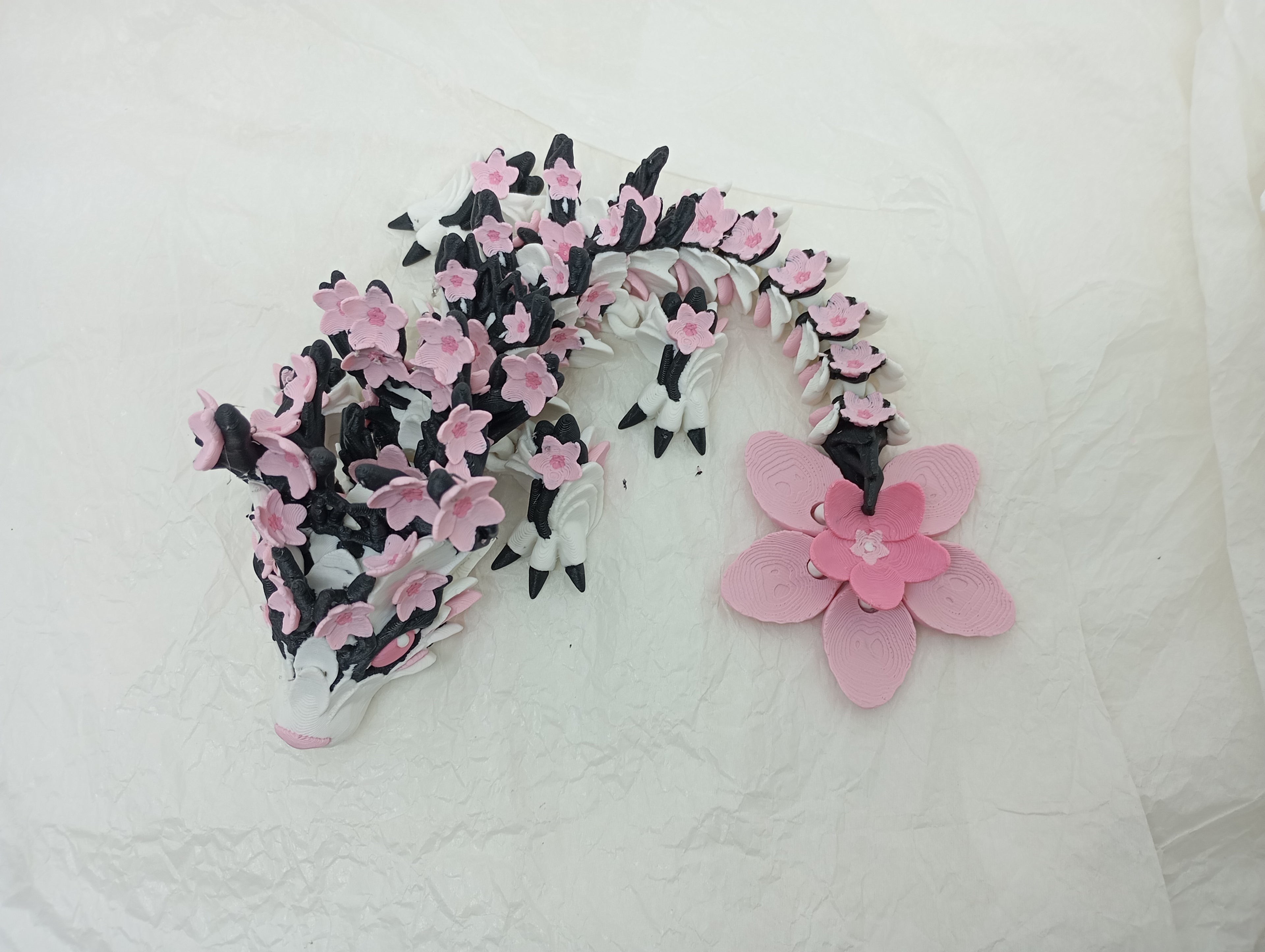 Dragão flor de cerejeira