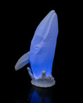 Low Poly Whale