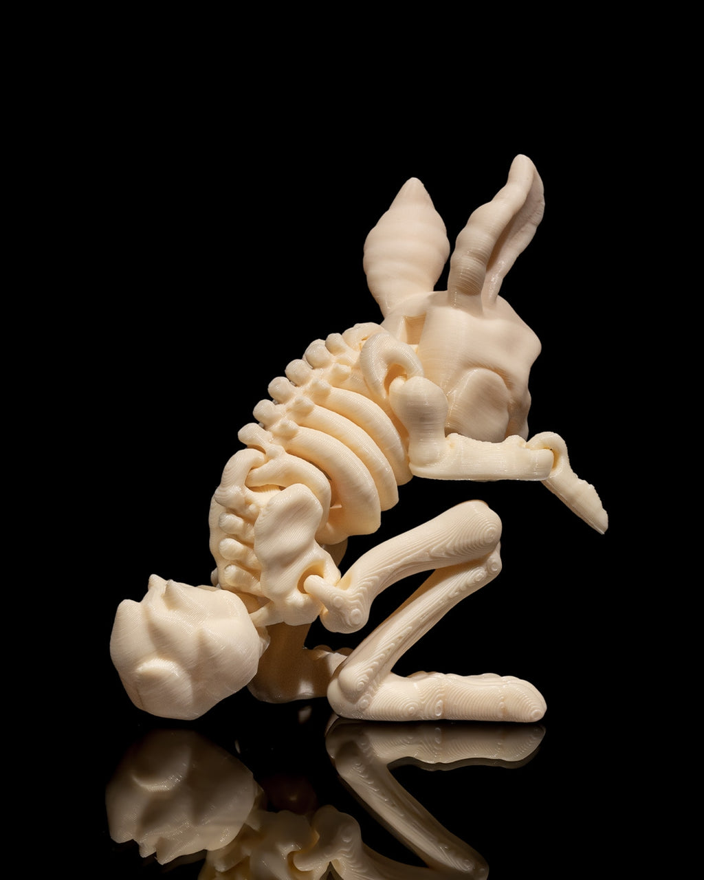 Bunny