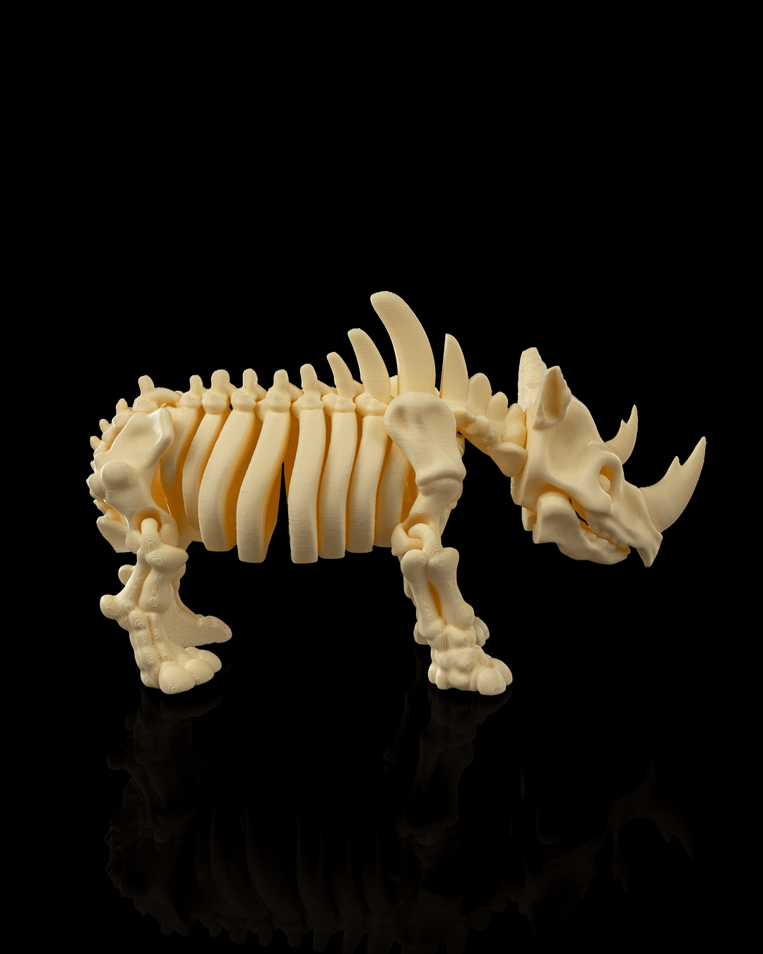 Rhino