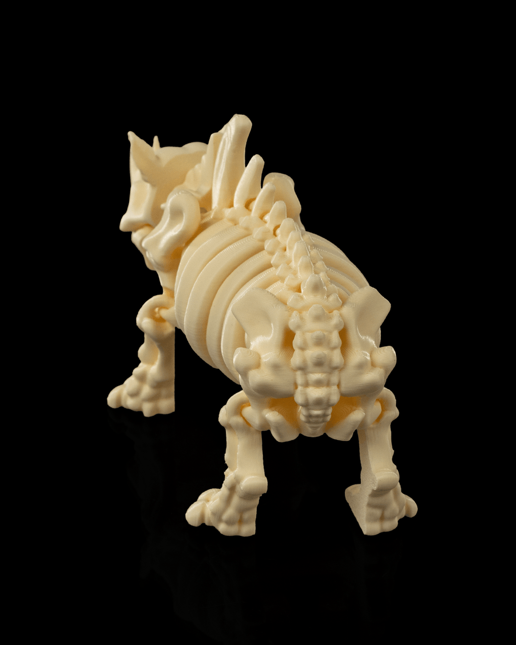 Rhino