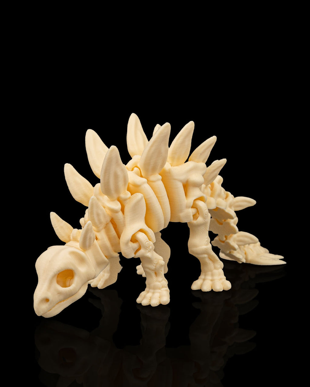 Stegosaurus