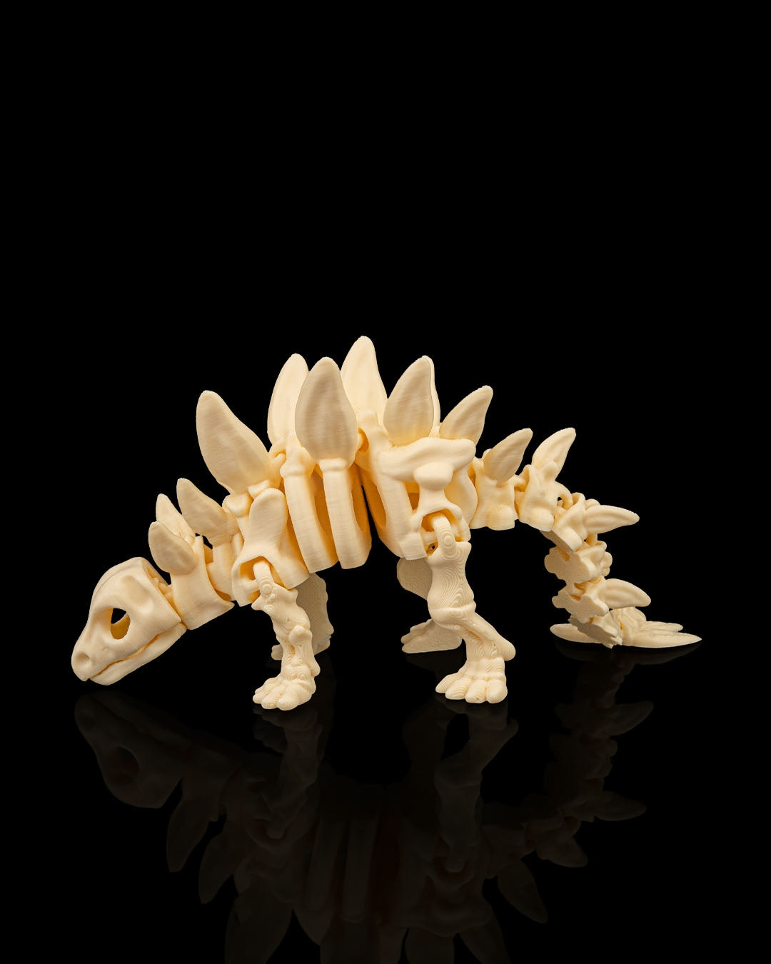 Stegosaurus