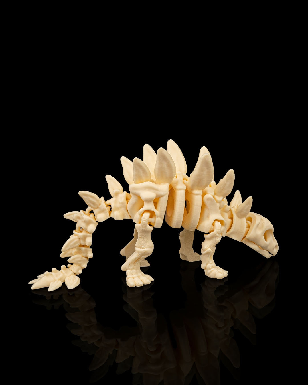 Stegosaurus