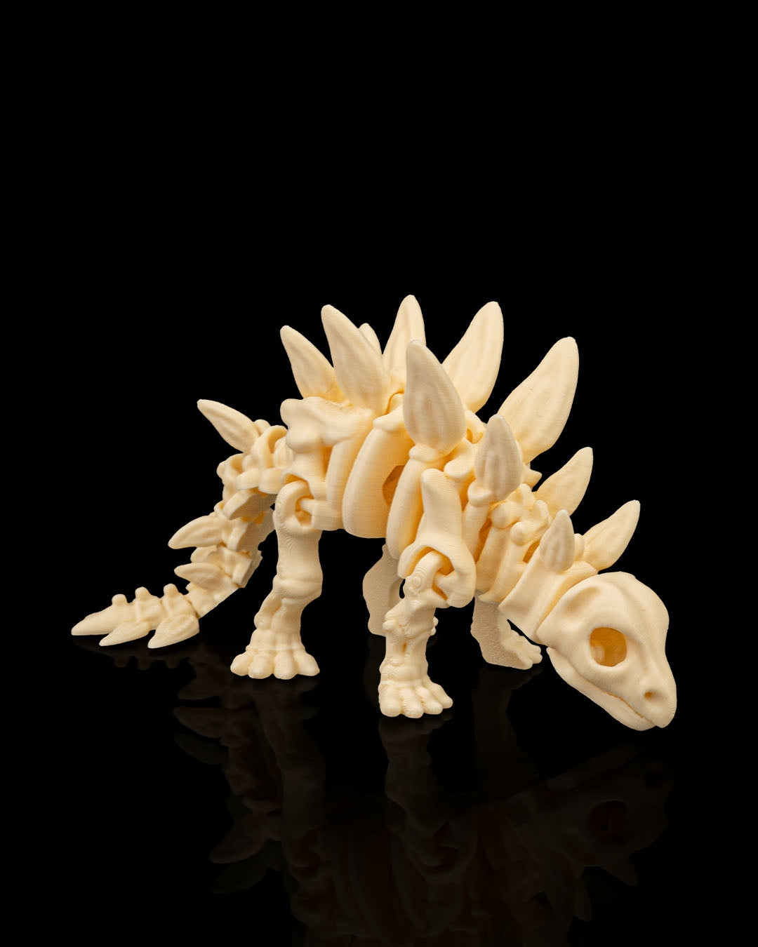 Stegosaurus