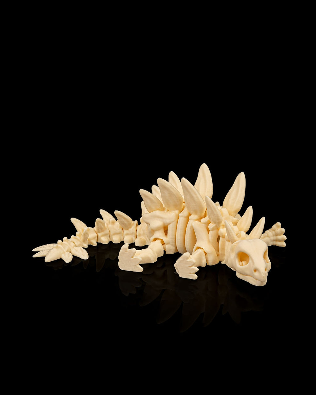 Stegosaurus