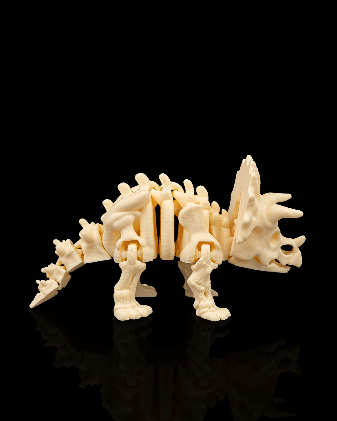 Triceratops