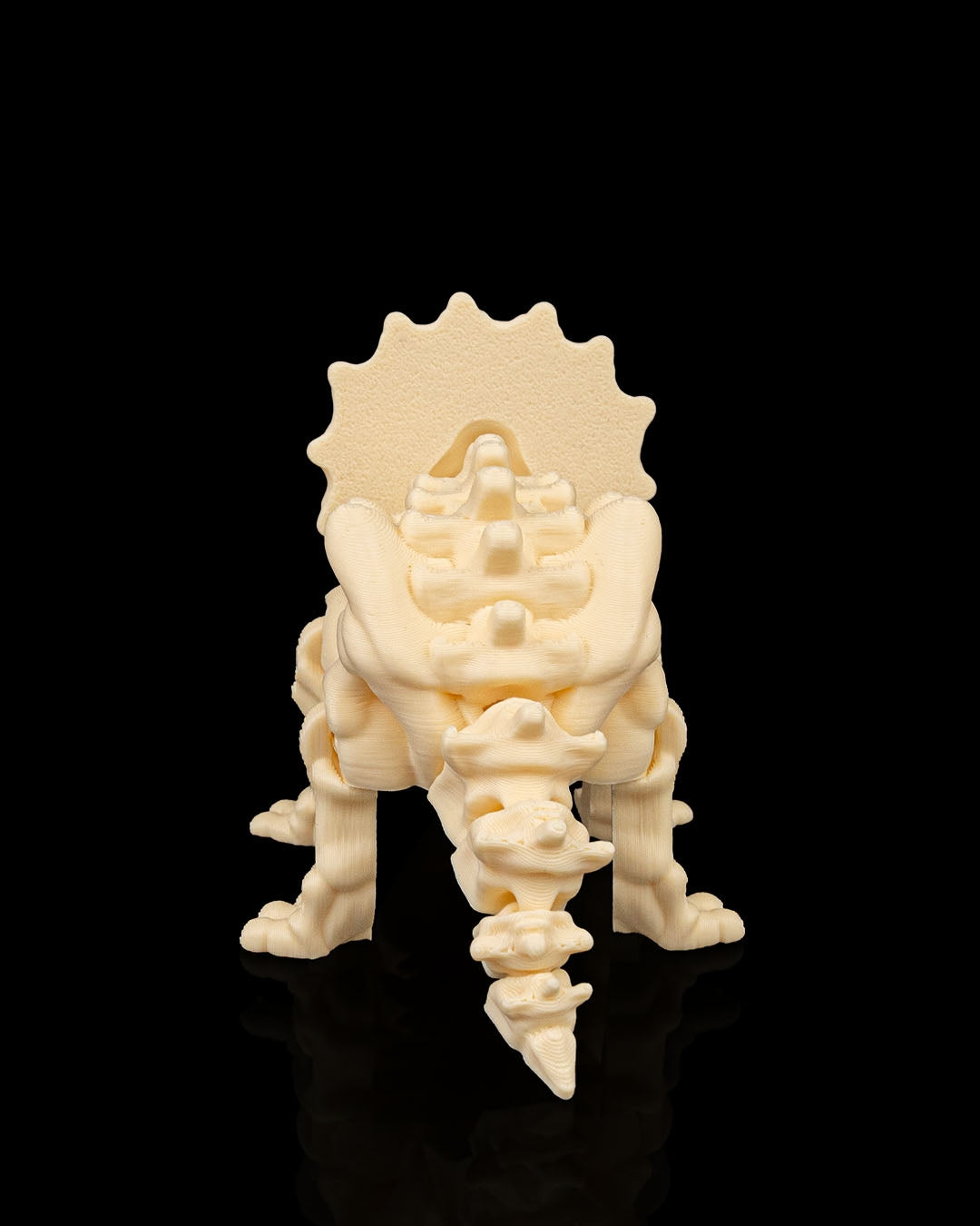 Triceratops