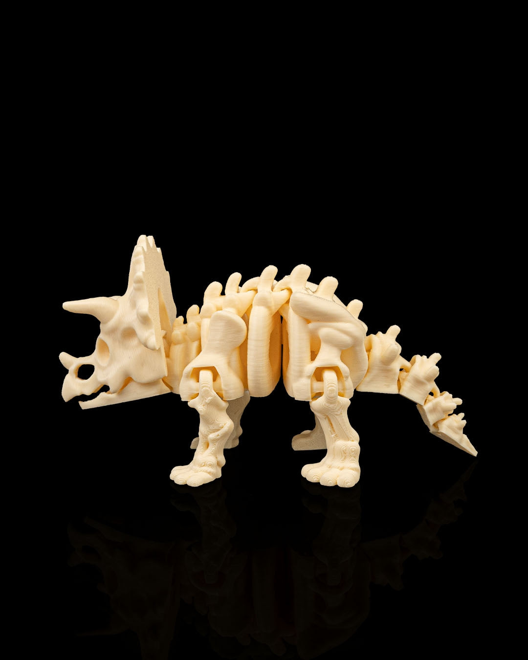 Triceratops