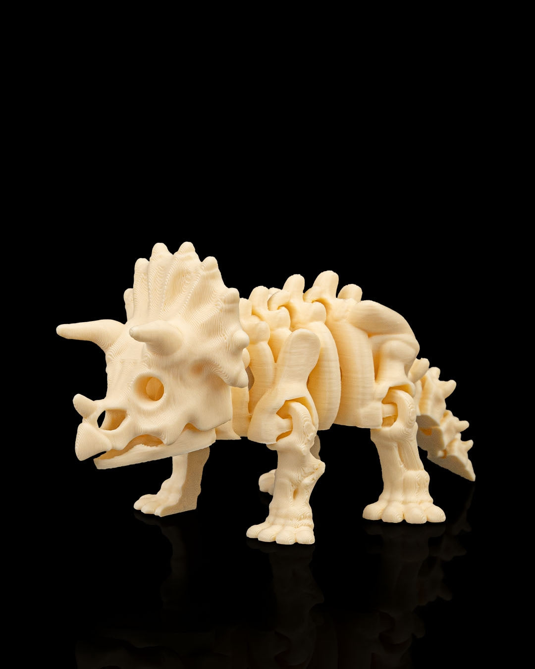 Triceratops