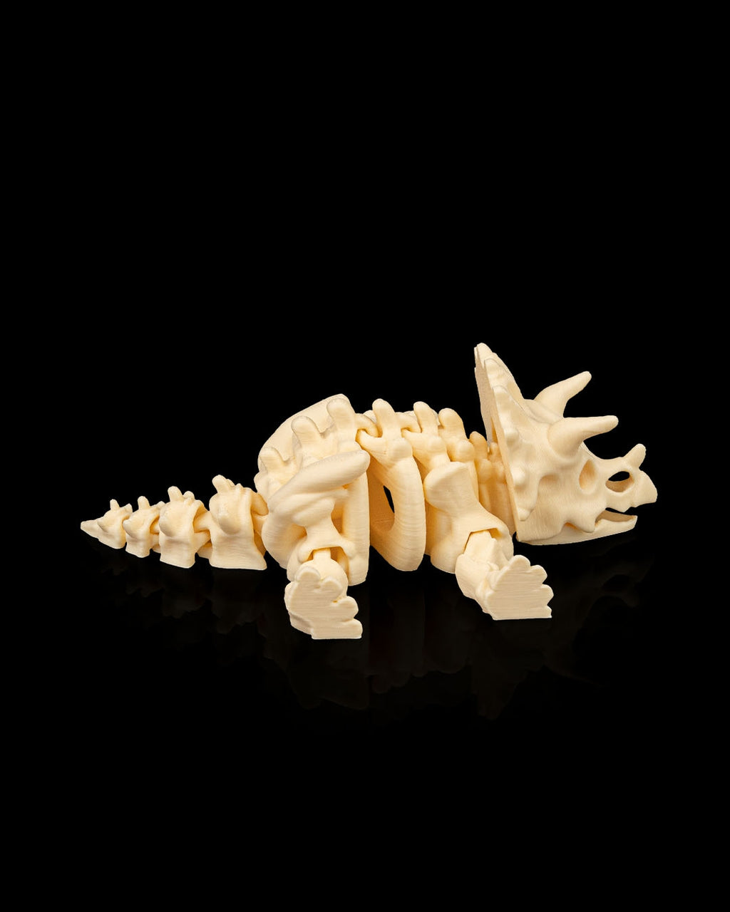 Triceratops