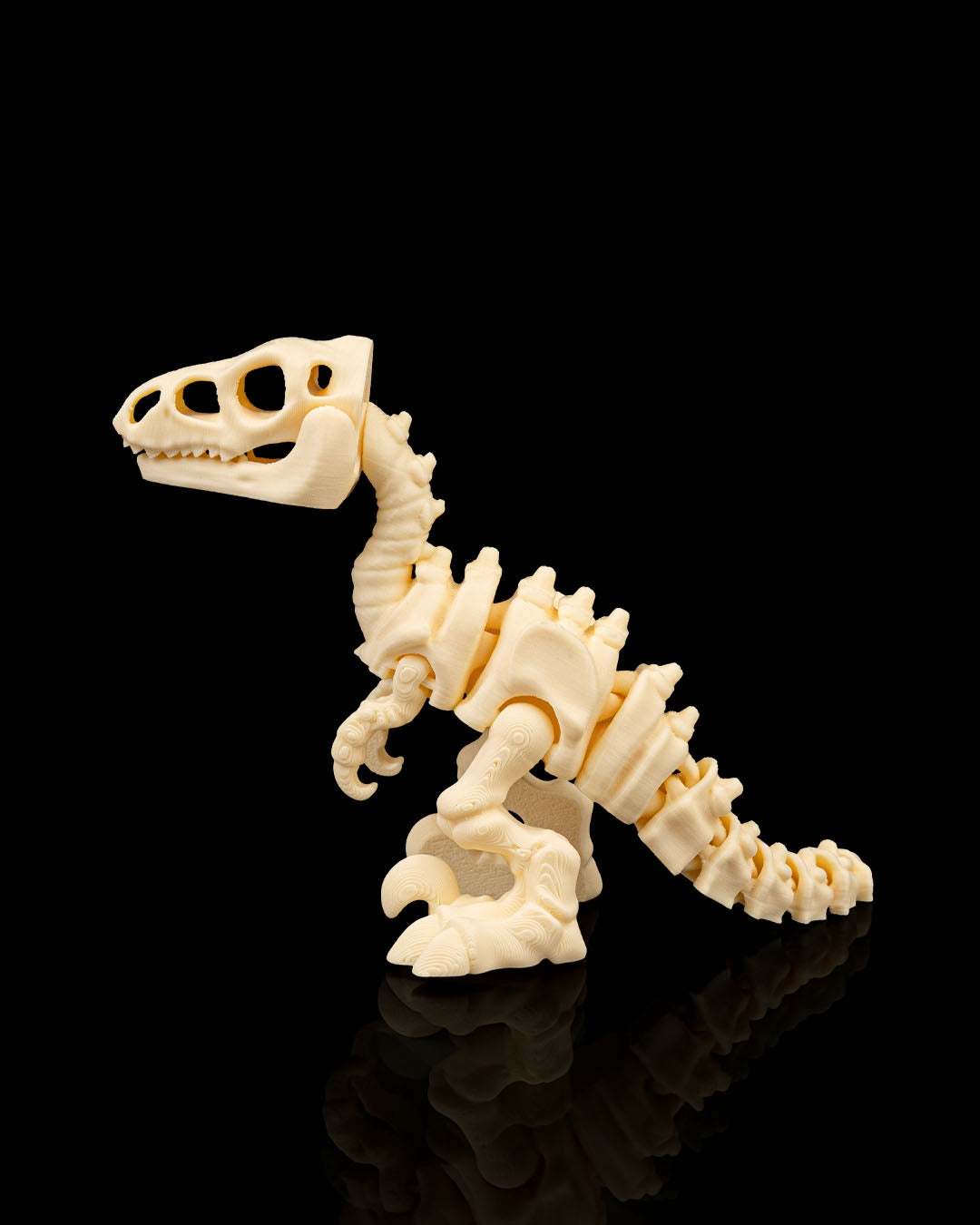 Velociraptor