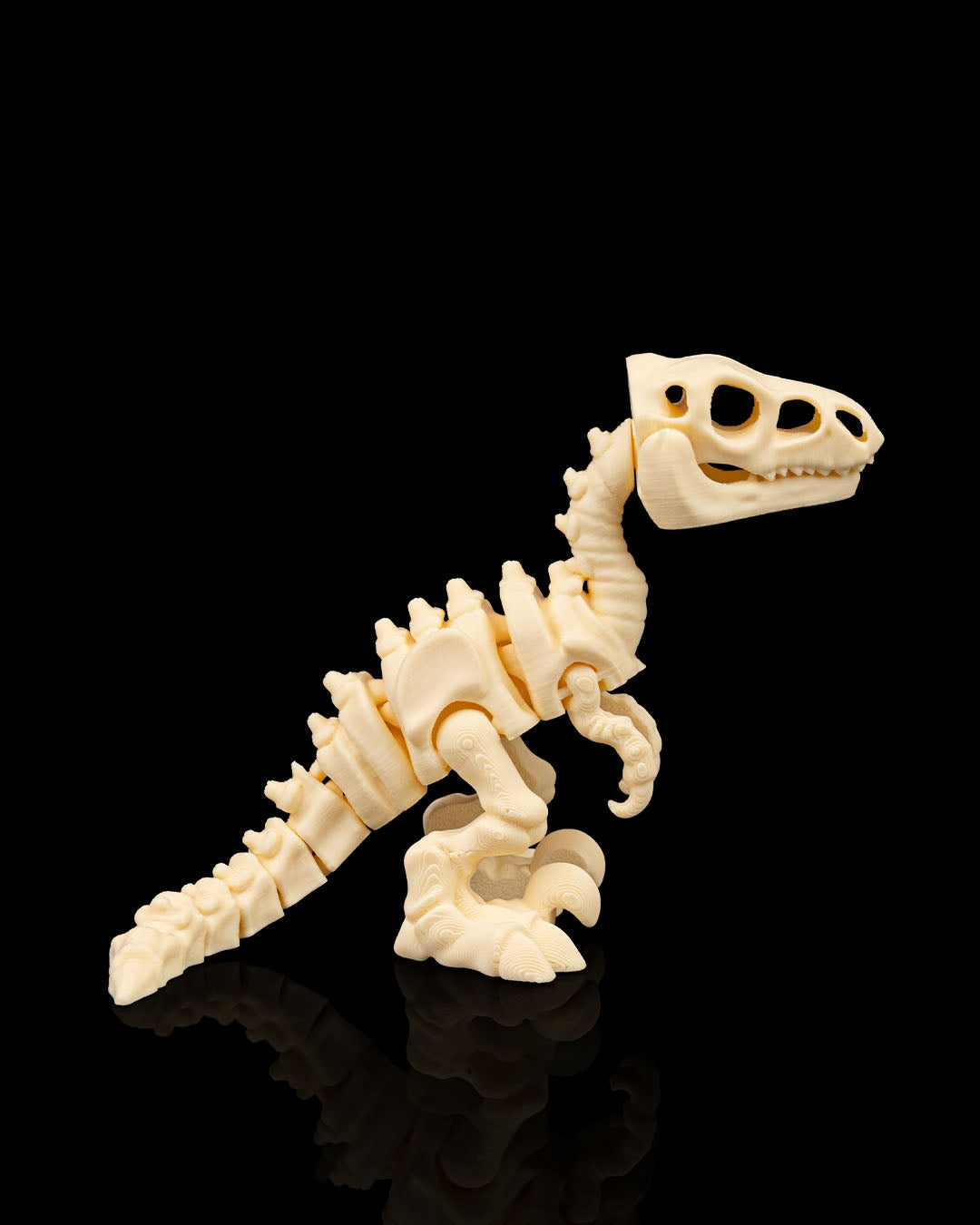 Velociraptor