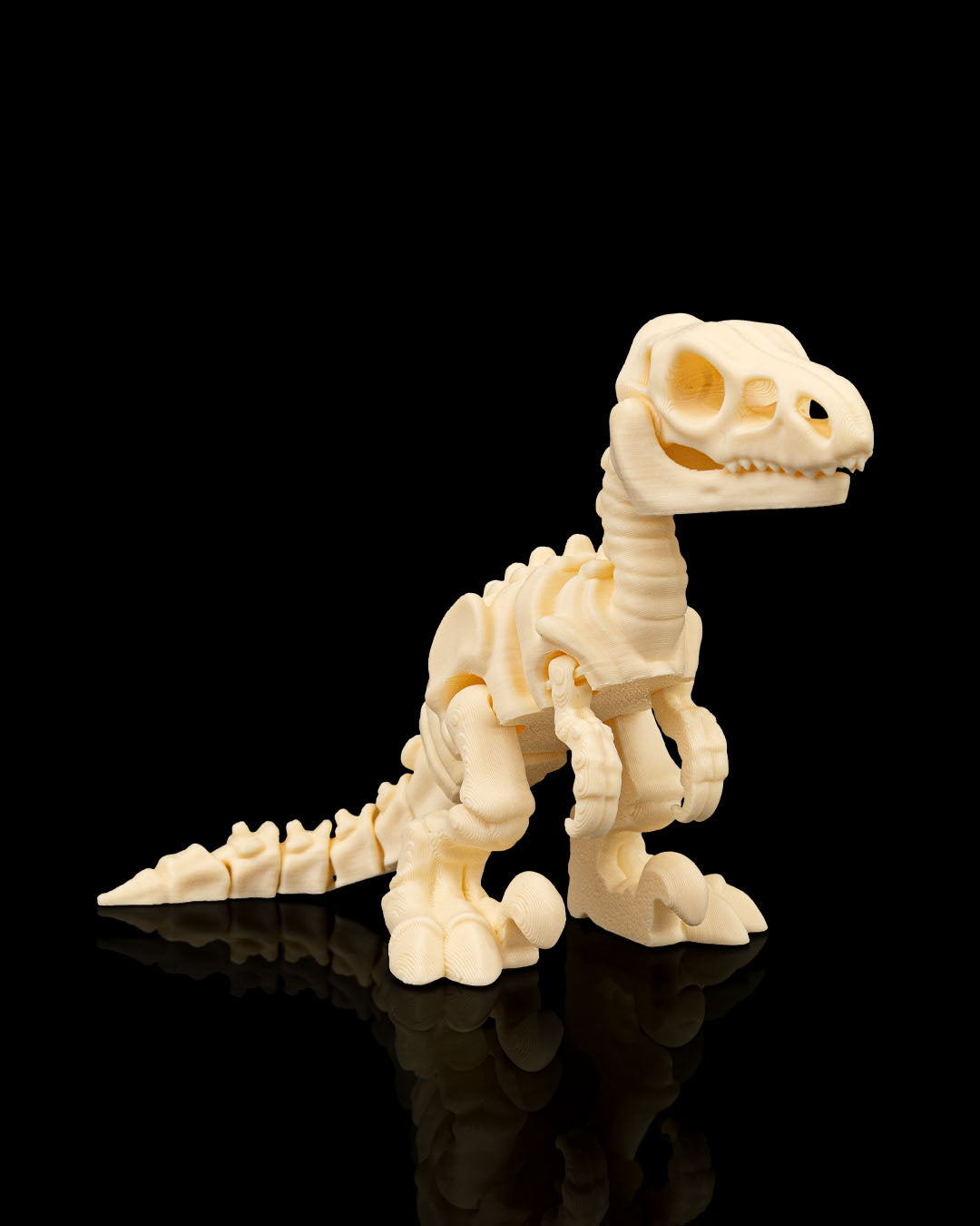 Velociraptor