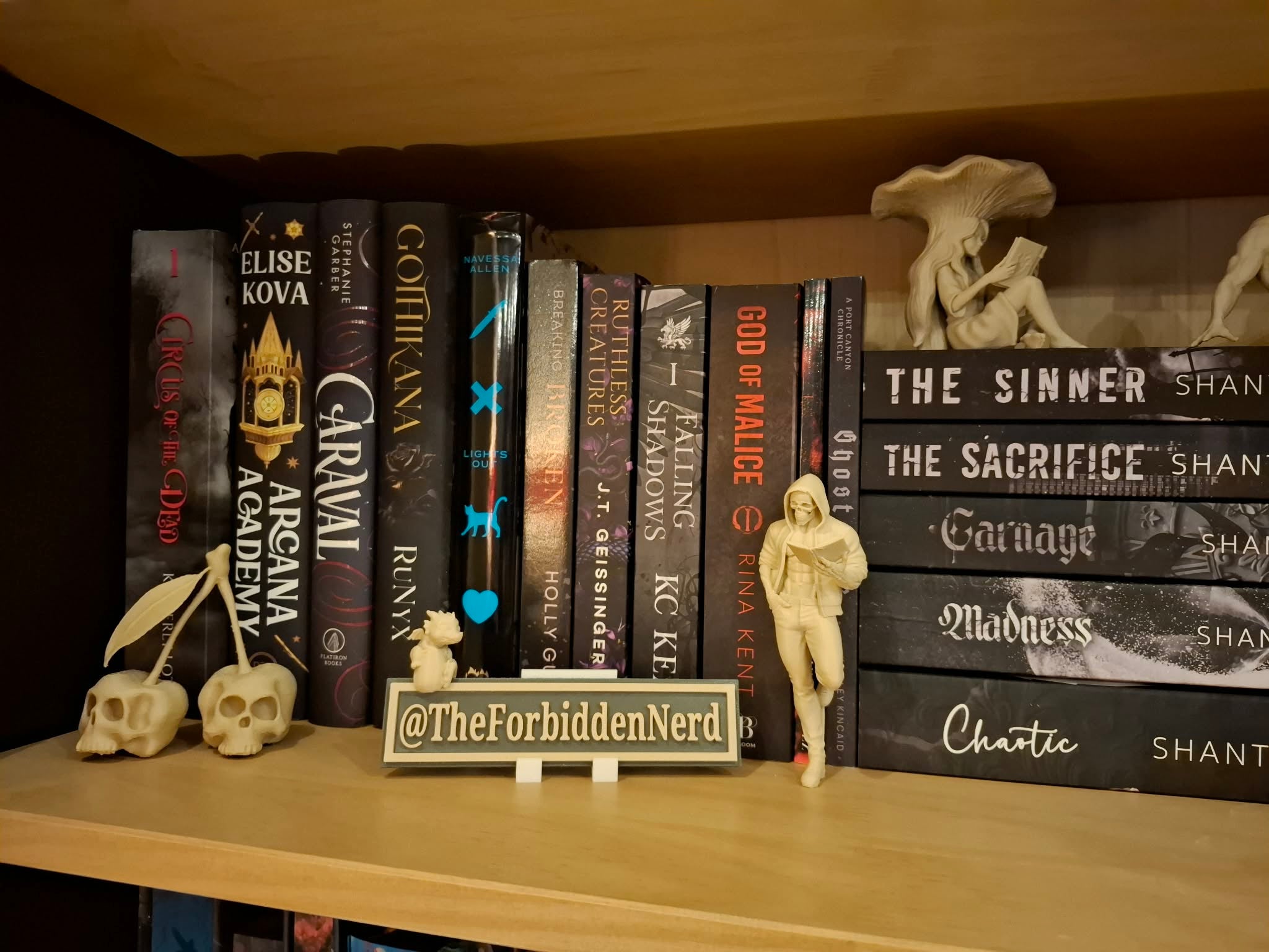 The Dark Romance Reader