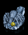 The Webspinner