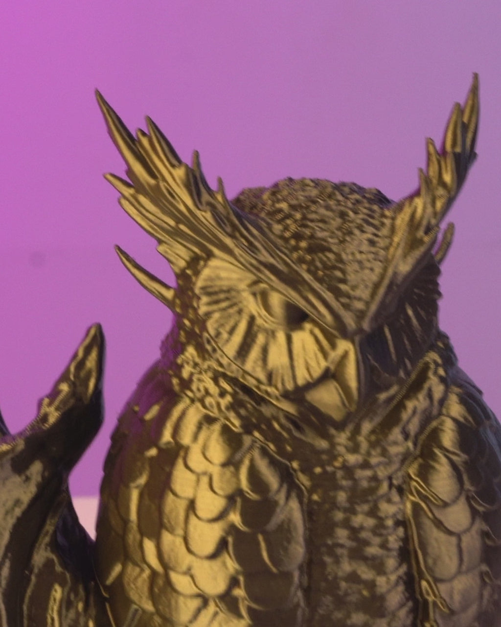 The Omen Owl