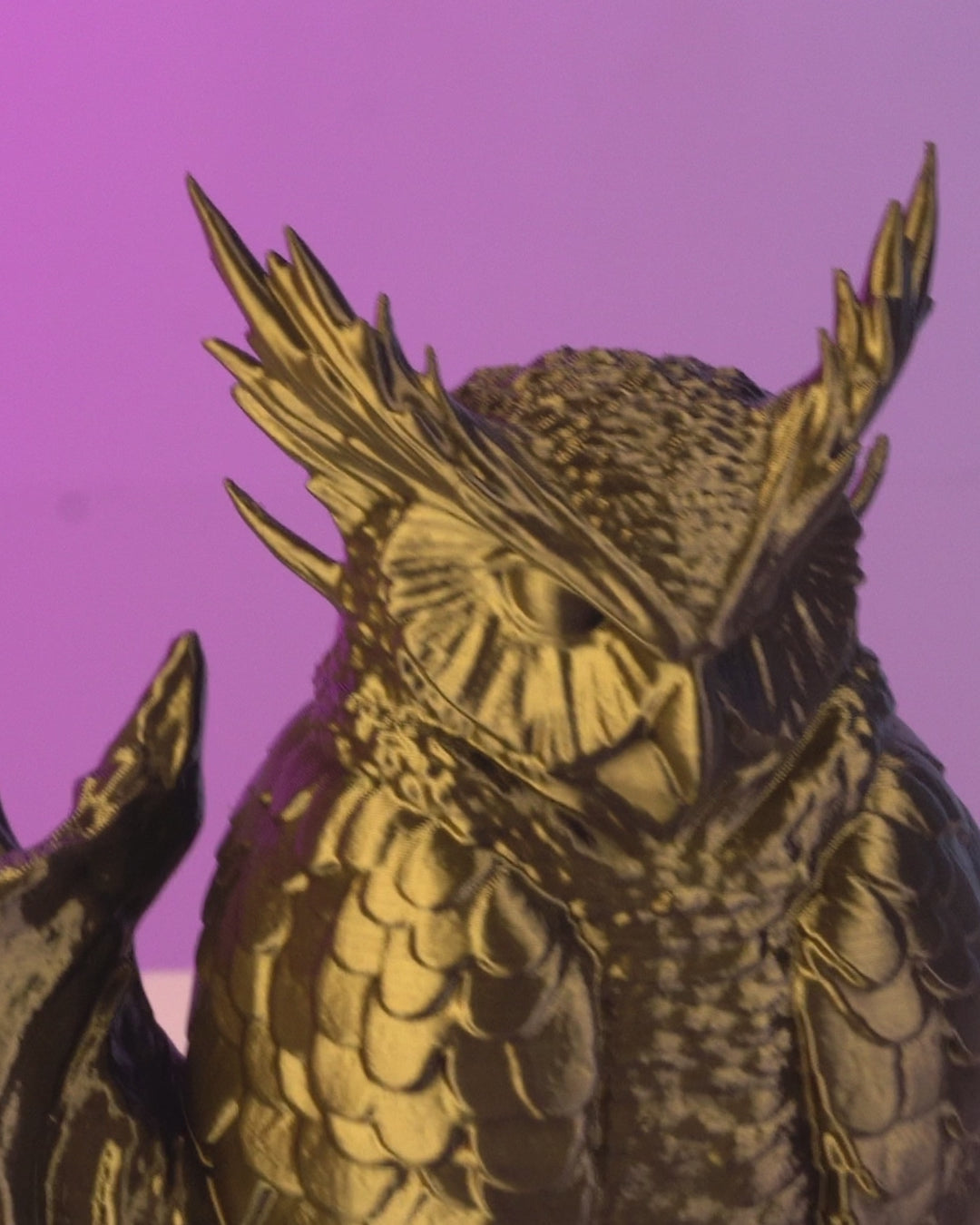 The Omen Owl