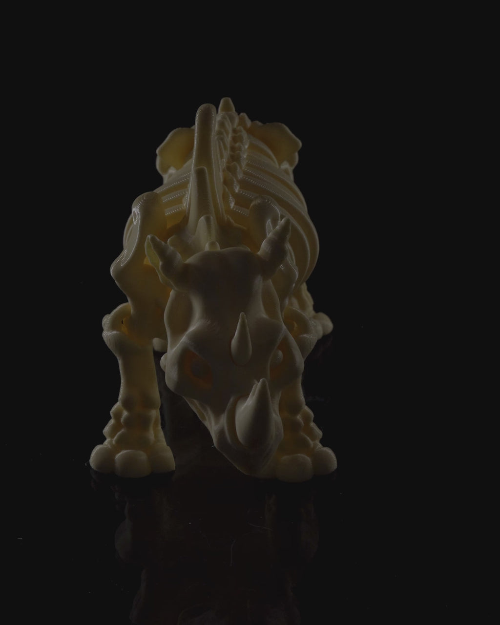 Rhino