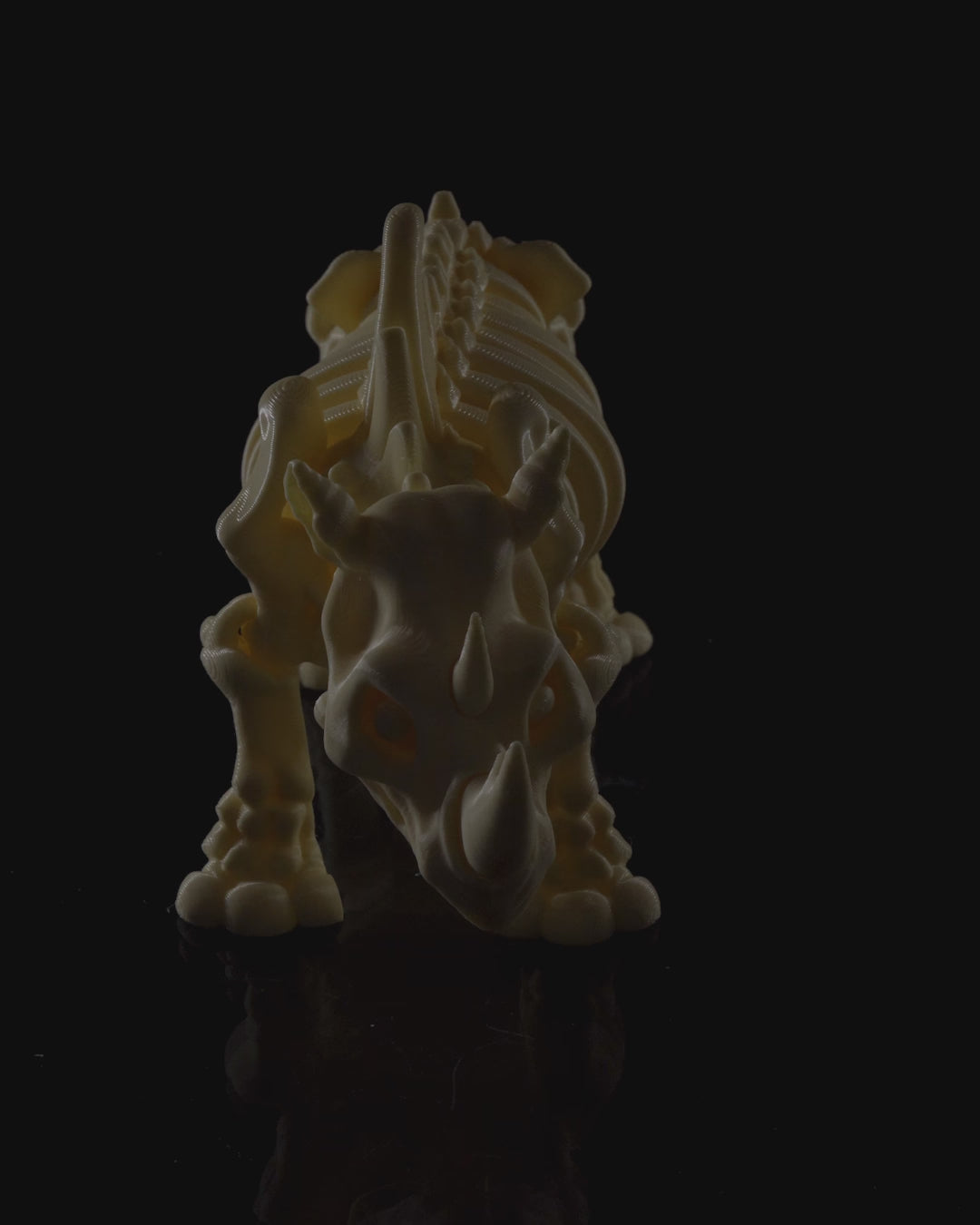 Rhino